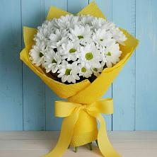 Букет цветов из:  Хризантемы в Петровское Щелковского района