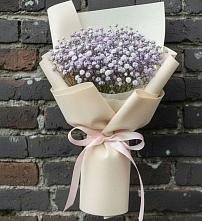 Букет цветов из:  Гипсофила в Петровское Щелковского района