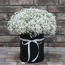 Цветочная композиция из Гипсофила в шляпной коробке в Петровское Щелковского района