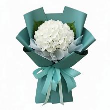 Букет цветов из:  Гортензия #REPLACE_PRED# Петровское Щелковского района